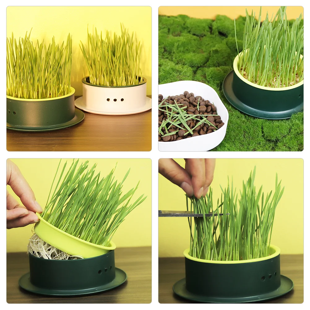 Cat Grass Grower Soilless Hydroponic Cat Grass Seed Box Set Catnip Plant Pot for Pet Creative Planter Nursery Indoor Pots