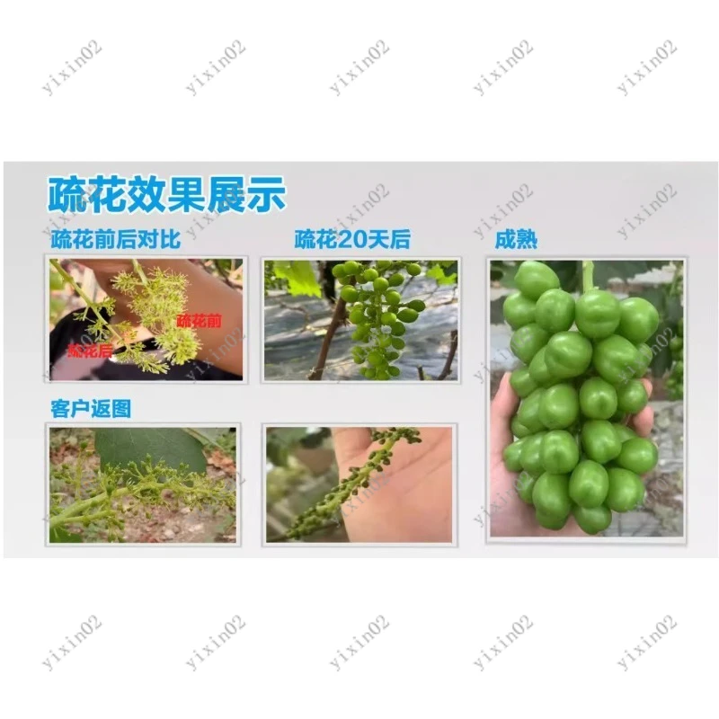 Sunshine Electric Flower Thinner Trimming Machine for Rose Bud Berry Orchard Grape Pruning Tool