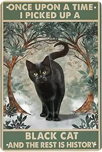 Once Upon a Time I Picked Up a Black Cat and The Rest is History Vintage Metal Tin Sign Sign Decoration   Use Indoor/Outdoor