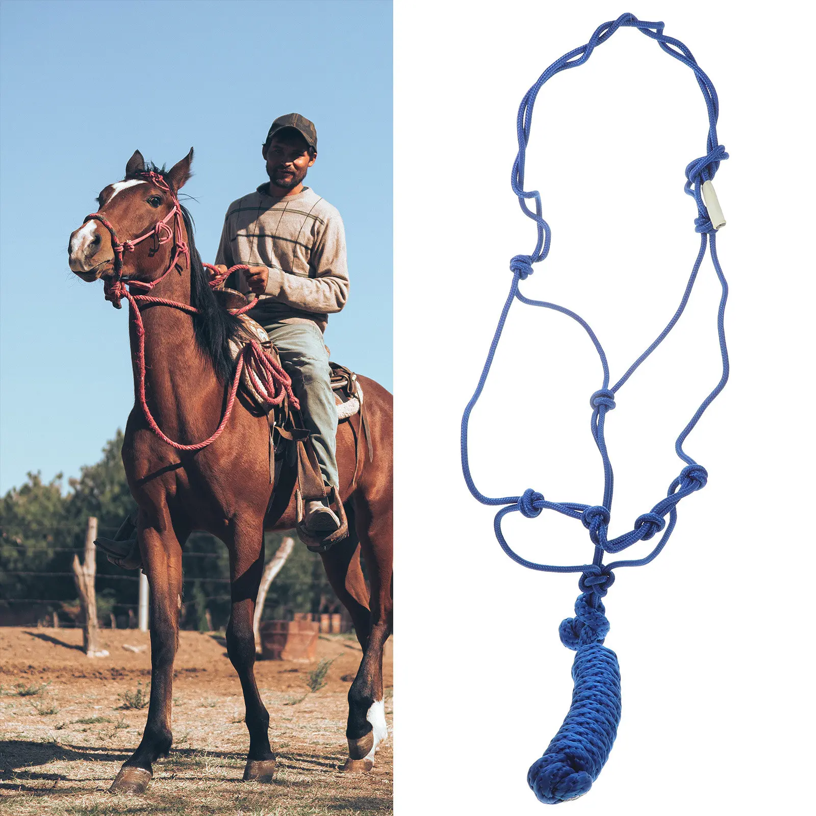

Training Halter Made of High-Class Wear-Resistant Cloth Braid Design Portable Lightweight Easy Storage Horse Safety