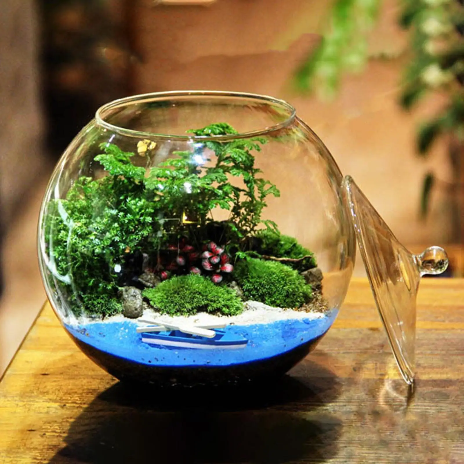 Micro Landscape Bottle with Lid Glass Plant Container for Nuts Bedroom Salt
