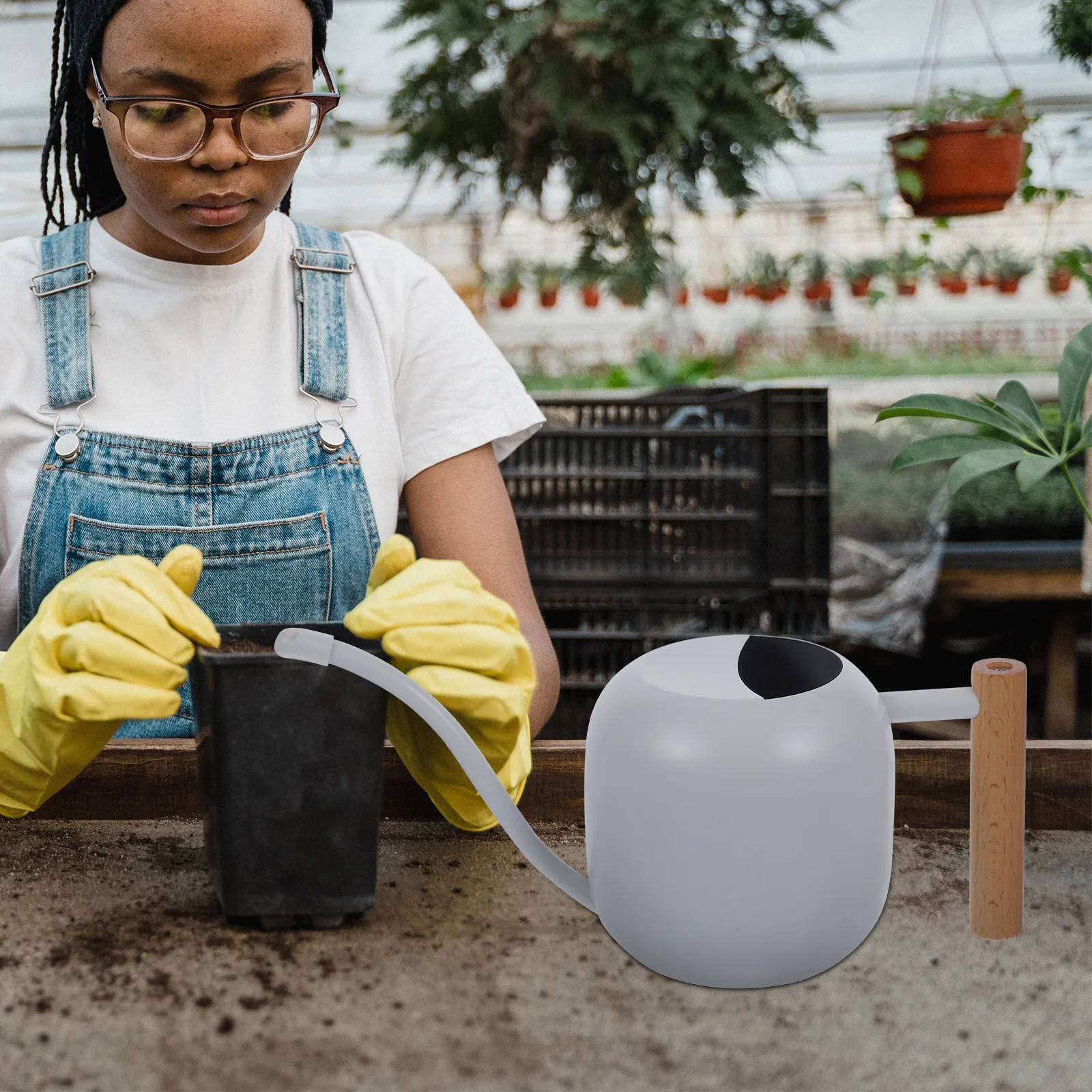 

Long Spout Watering Can Stainless Steel with Wooden Handle for Indoor Outdoor Plants Garden Succulents Houseplants Metal