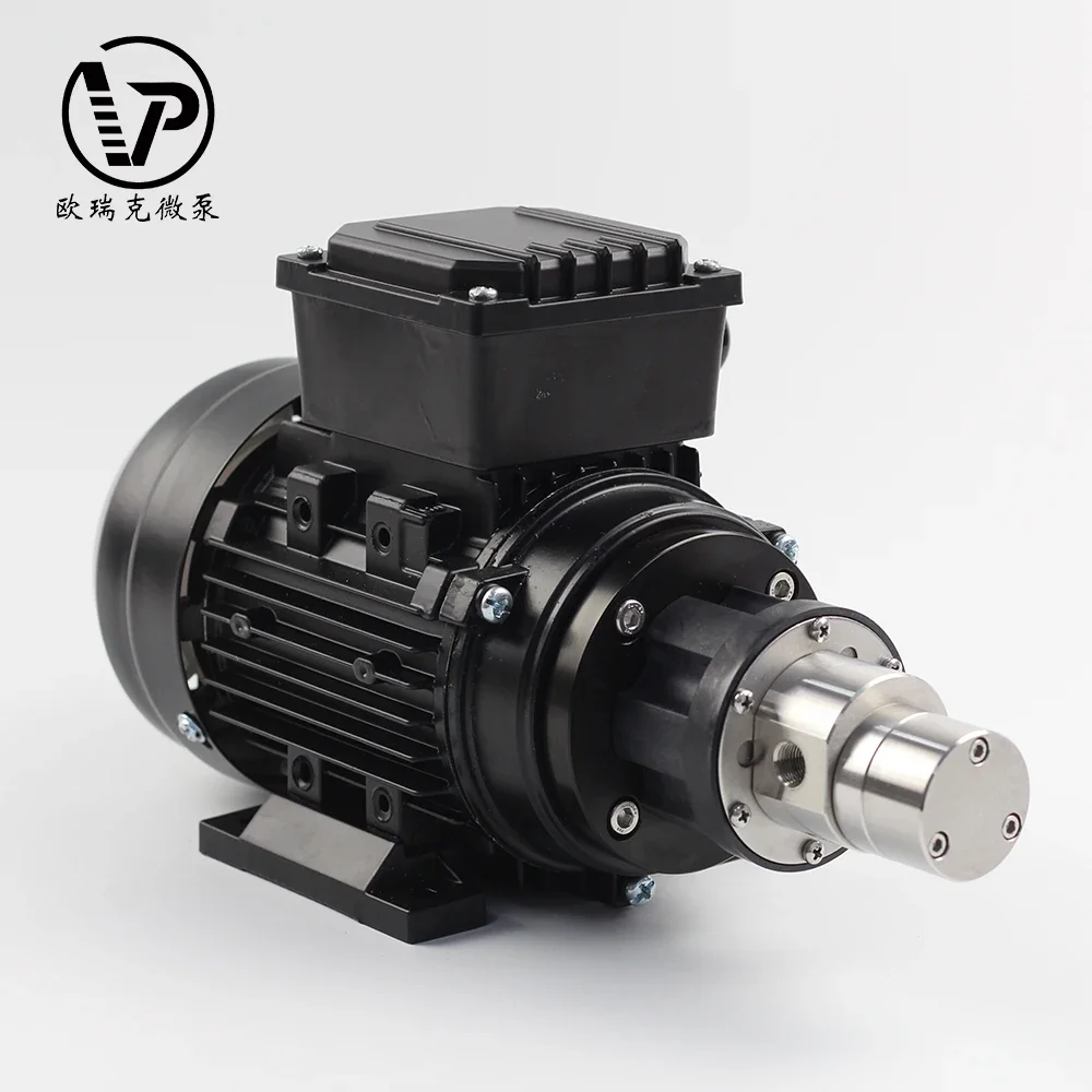 High Pressure 220v AC Magnetic Drive Gear Pump for Packing Machine Transfer High Temperature Mini Gear Pump