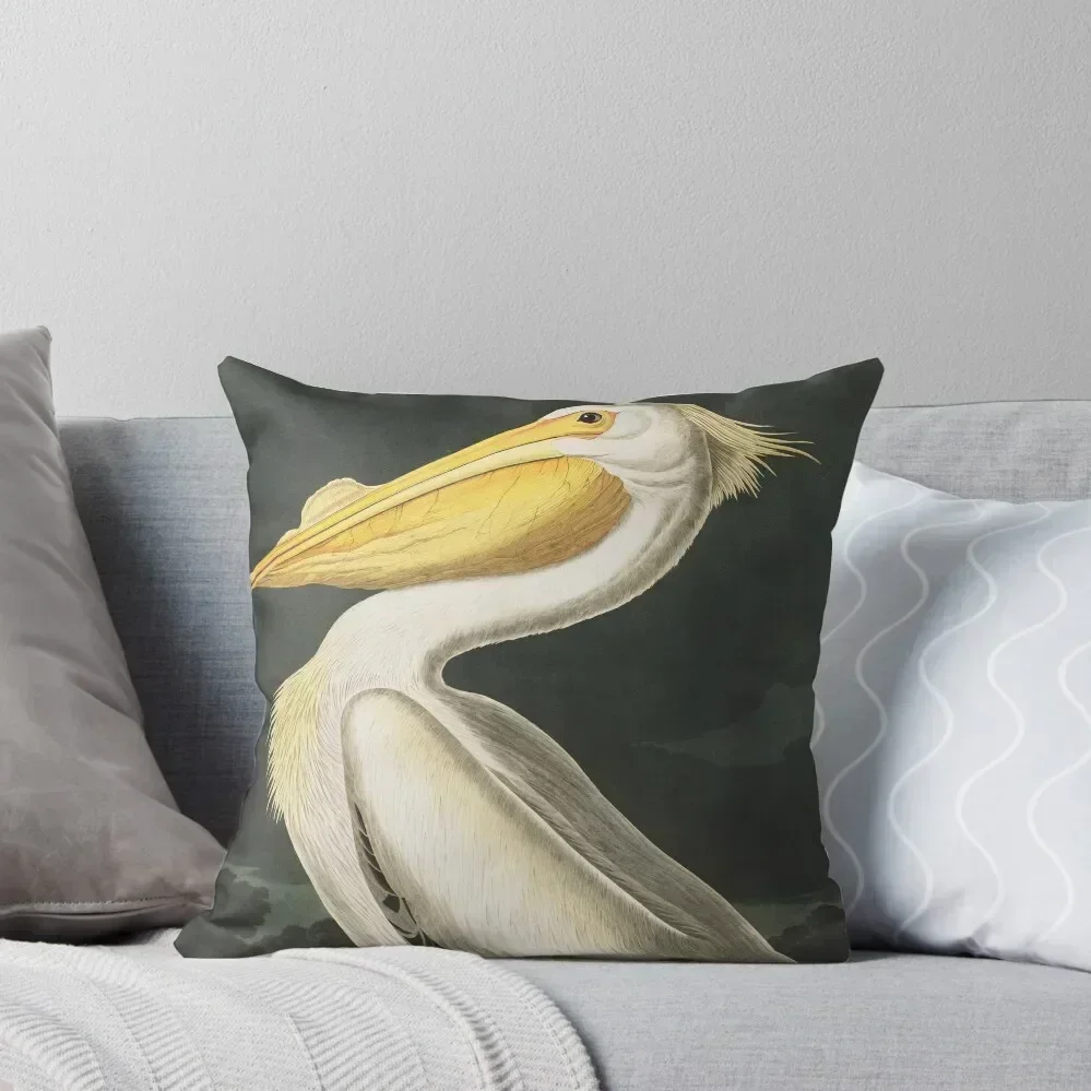 

Top Best Bird Pelican Scientific Illustration Print by JJ Audubon Cottagecore Coastal Sea Art Throw Pillow