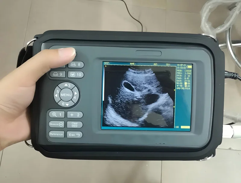 Veterinary Equipment Digital Handheld Veterinary Ultrasound Scanner with Multiple Probes Animal