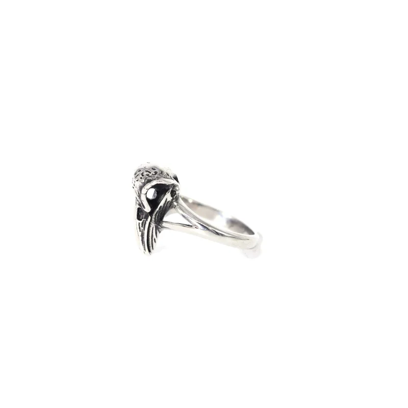 WDM Jewelry 316l Stainless Steel Raven Skull Haed Rings Gothic Woodpecker Crow Skull Ring Vintage Viking Raven Head Ring