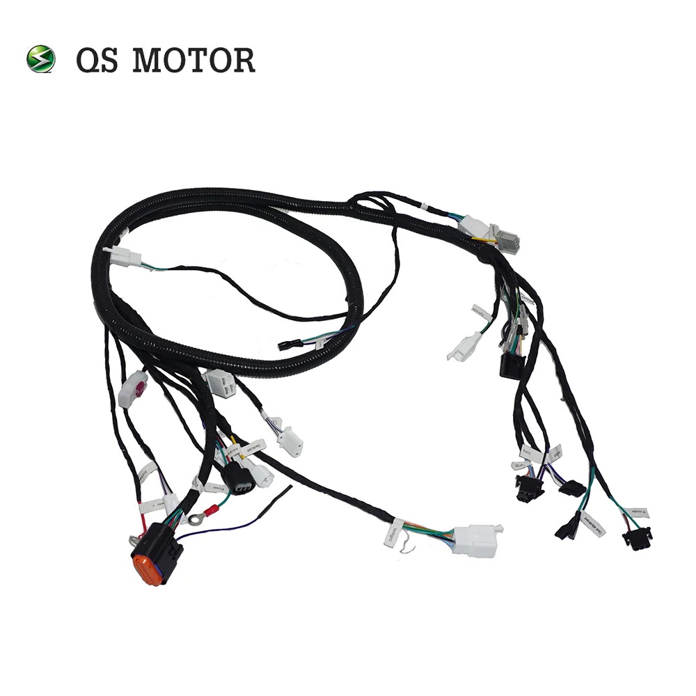 QS Motor Honda Beat Fuel to Electricity Electric Hub Motor Conversion Kit with QS260 2000W Hub Motor