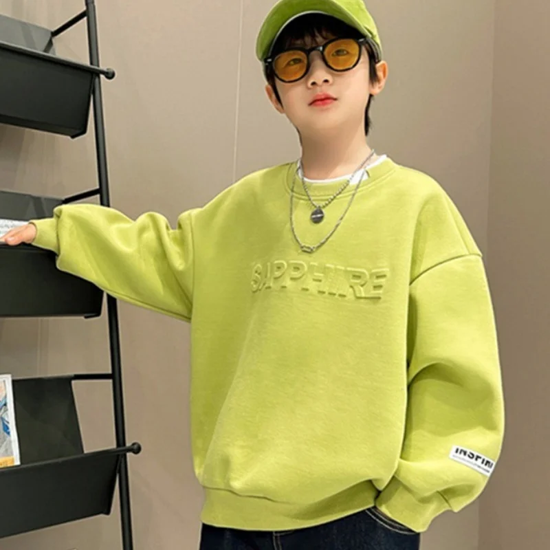 Boys Hoodies Sweatshirts Cotton Tops Outwear 2024 Elegant Spring Autumn Kids Christmas Gift Teenagers Children's Clothing