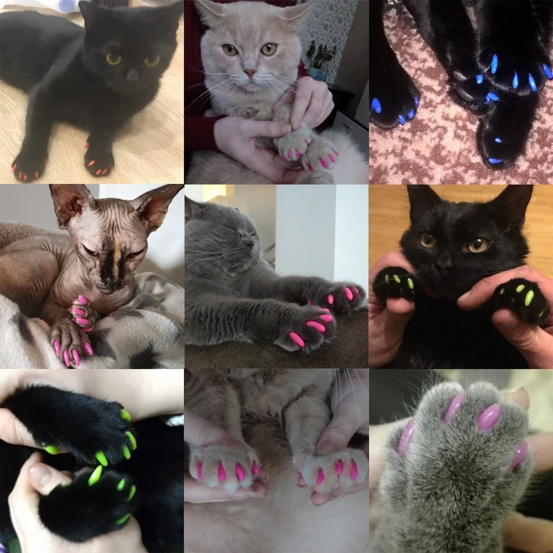 20pcs Soft Pet Nail Caps Dogs and Cats Paws Grooming Nail Claws Caps Covers of 1 Kind 1Pcs Adhesive Glue Pet Supplies