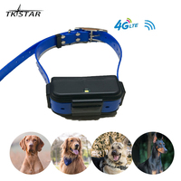 TK919 TKSTAR 4G LTE GPS Tracker GPRS Locator for Animal Hound Dog 3000mAh Battery Waterproof IP67 Strong Magnetic Free Web APP