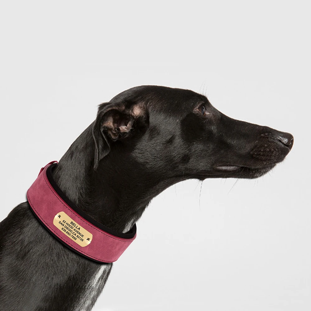 Wide Personalized PU Dog Collar 5
