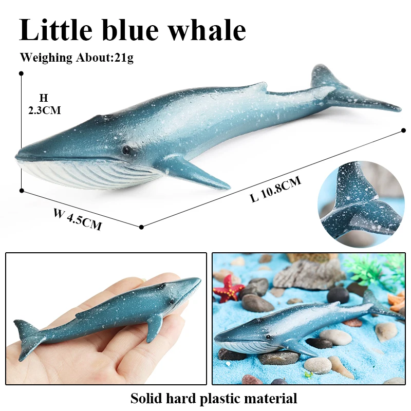Oenux Small Sea Life Animals Dolphin Rays Whale Shark Model Sea Lion Walrus Ocean Marine Figurines Miniature Education Kids Toys