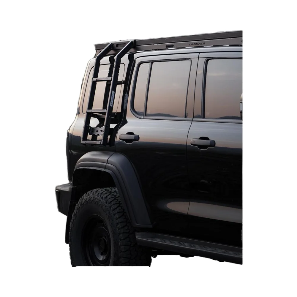 

Factory Off Road Roof Rack Accessories Climbing Roof Side Ladder Magnet Attached Side Ladder for 300