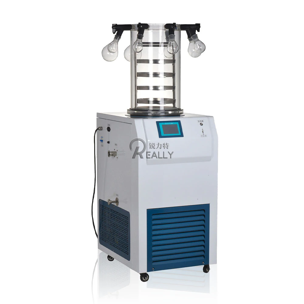 

Electric Industrial Vacuum Freeze Dryer Machine Food Raspberries Durian Dehydrators Lyophilizer Equipment