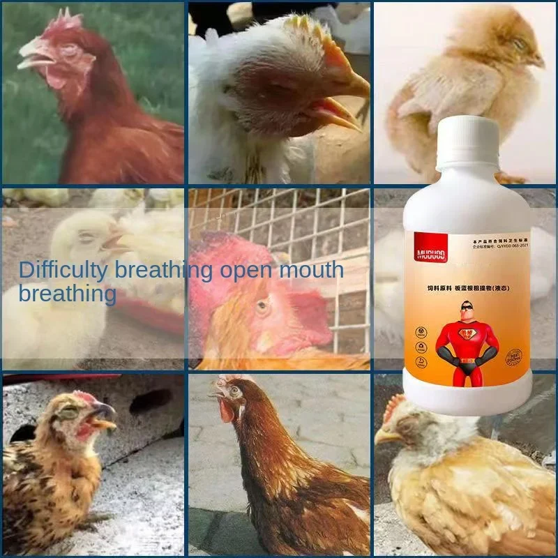 Chickens, Ducks,  Pigeons, Snoring and Coughing, Snoring, Opening Mouth and Neck Extension, Swollen Eyelids, and Tearing 250ml