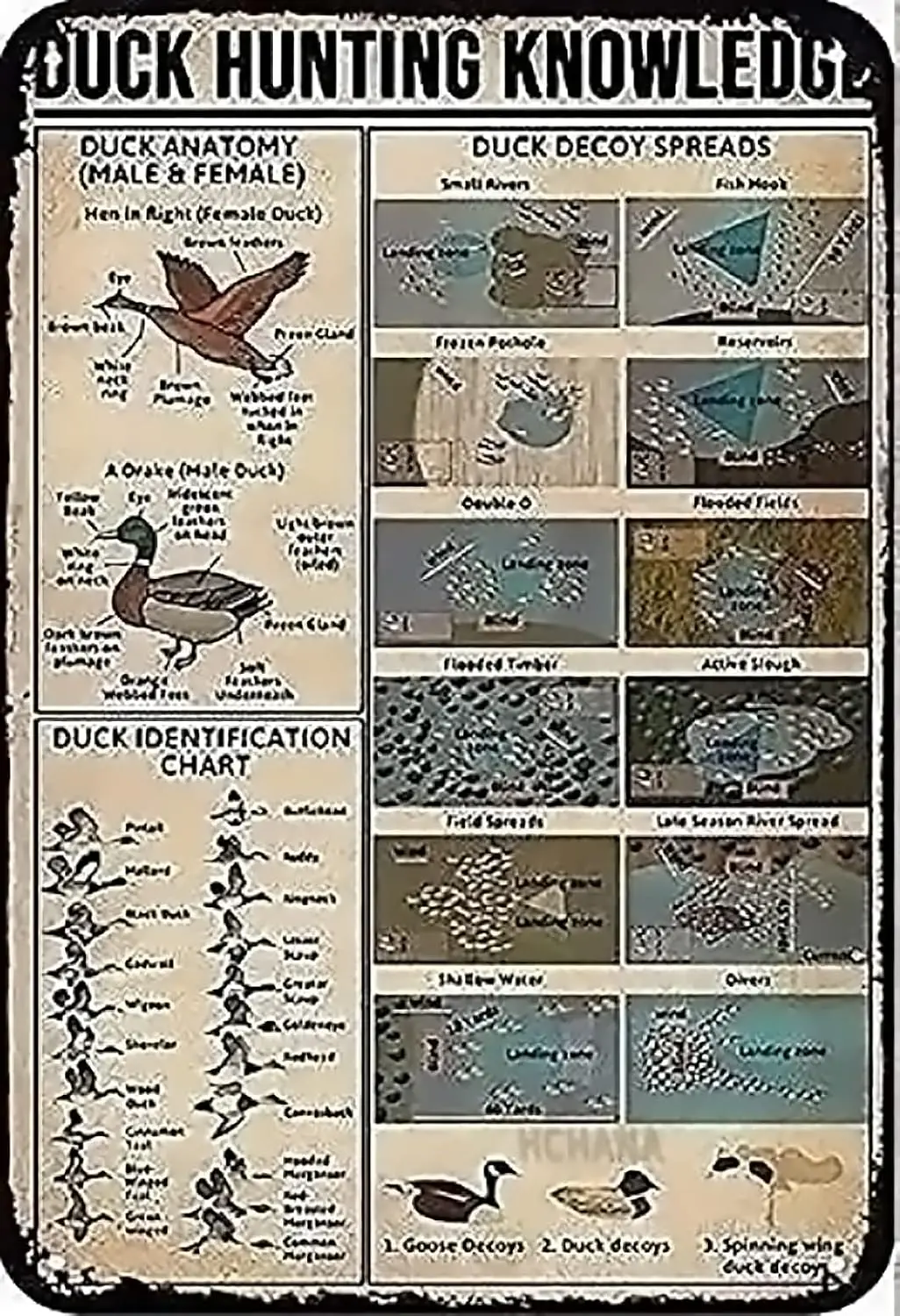 Plaque en métal décorative sur le thème de la chasse au canard : Tableau d'identification des canards, affiche rétro pour cabane de chasse, salle de bain, cuisine, café, garage, maison