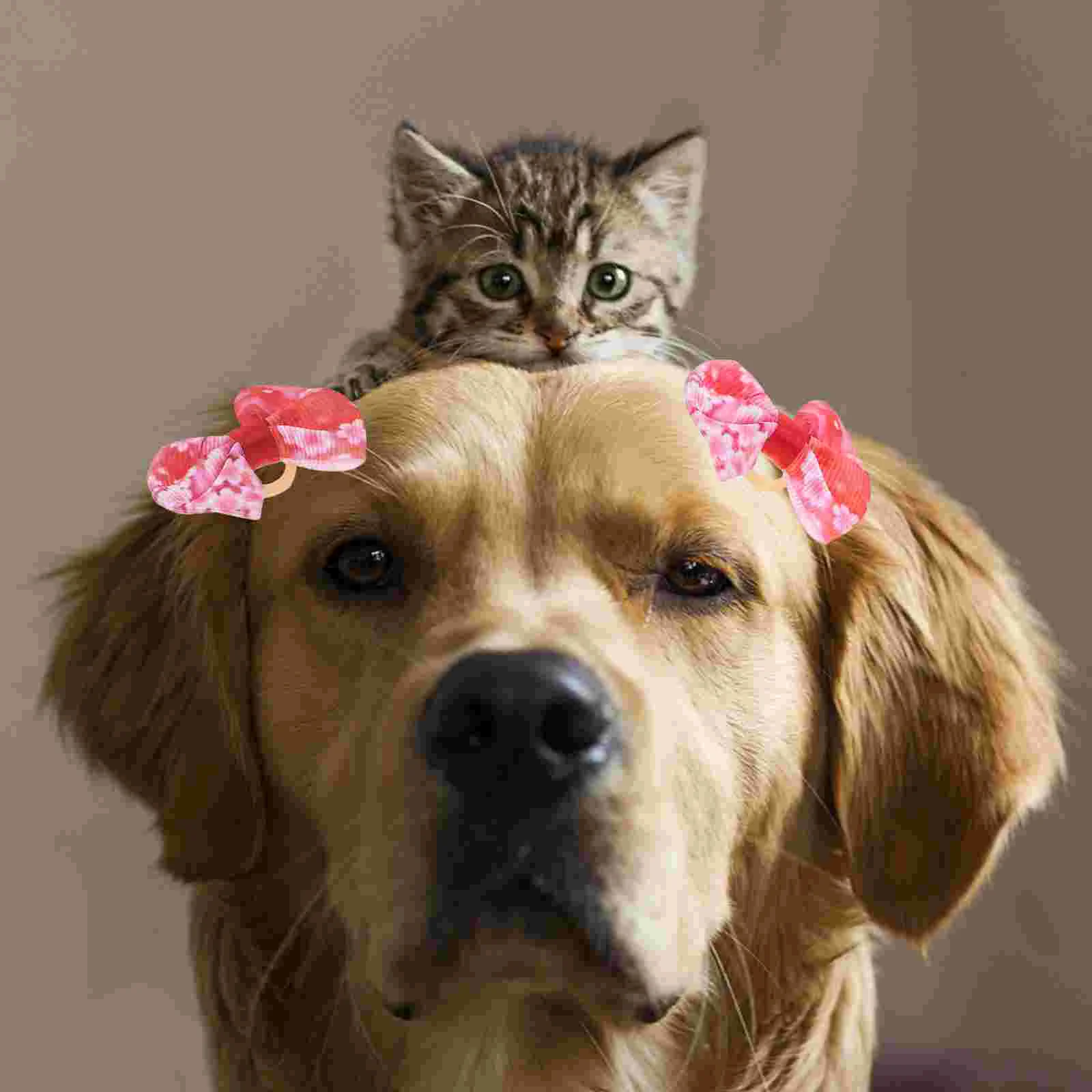 

10 Pcs Pet Rubber Band Headband Dog Bows Polyester Pets Hair Bands
