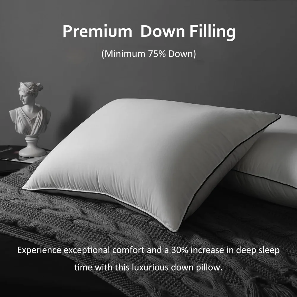 Luxury Goose Down Pillows Queen Size,Soft and Support 750 Fill Power Down Bed Pillow for Back,Side,Stomach Sleepers,480 Thread