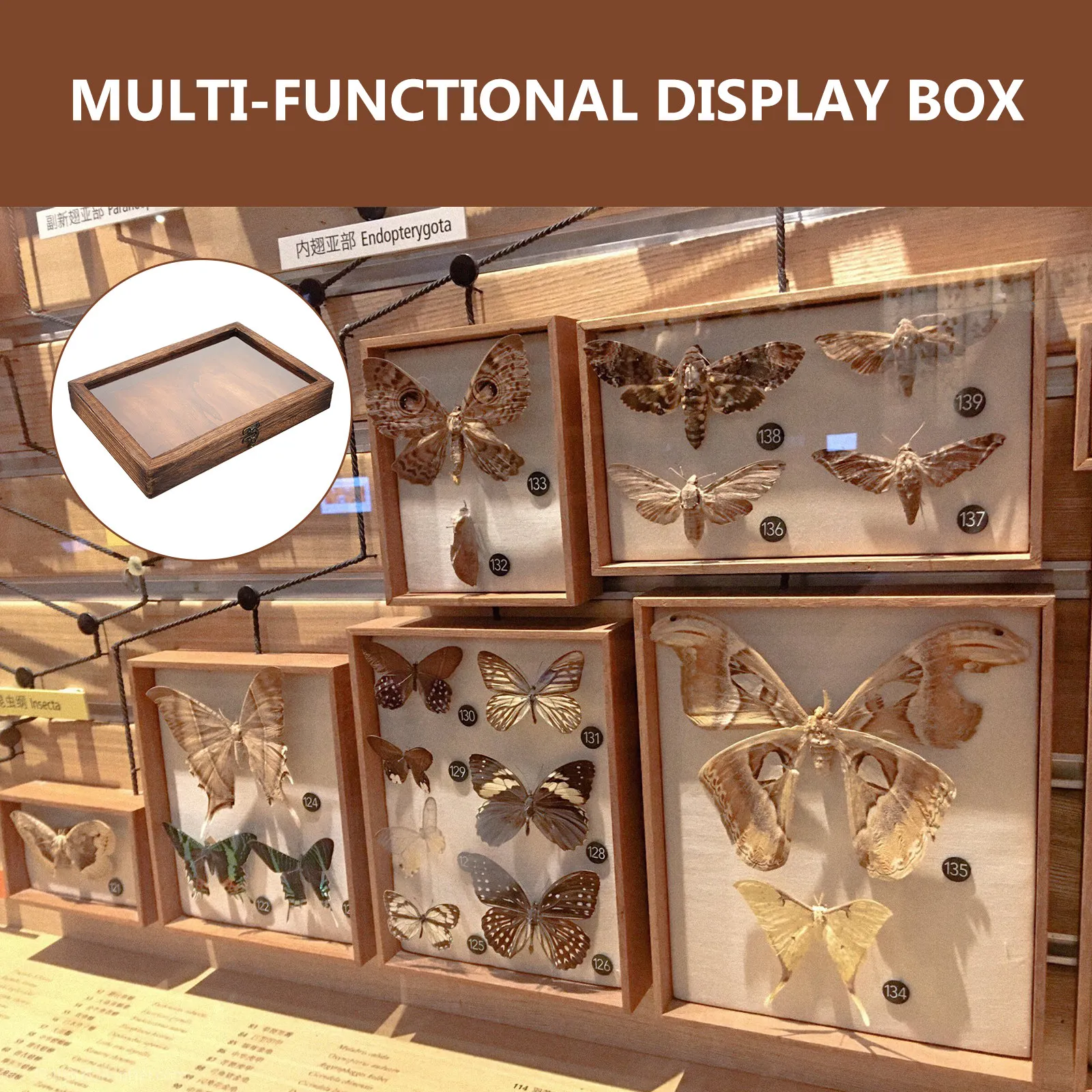 Display Frame Photo Wall Picture Halloween Christmas New Year Display Case Acrylic Display Case Display Case Jewelry Wooden