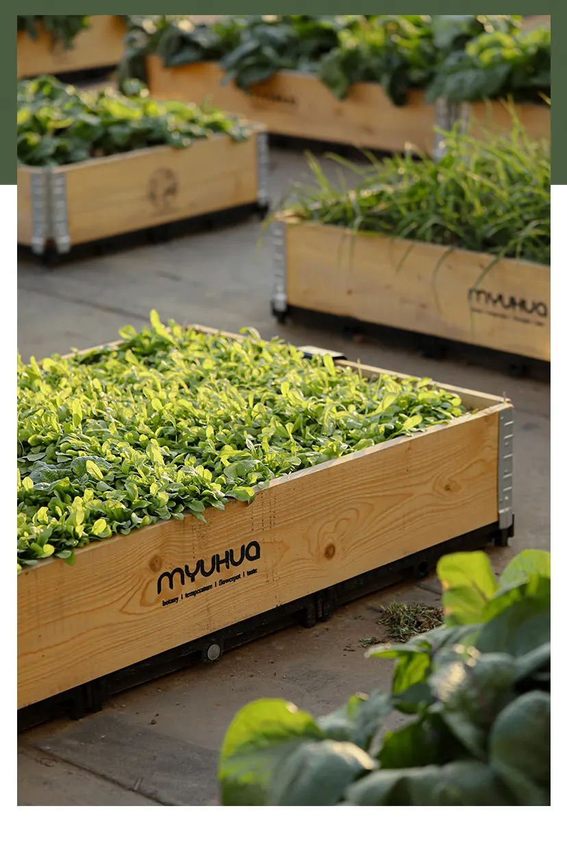 PYH anticorrosive wood planting box roof vegetable special outdoor rectangular balcony terrace garden flower box
