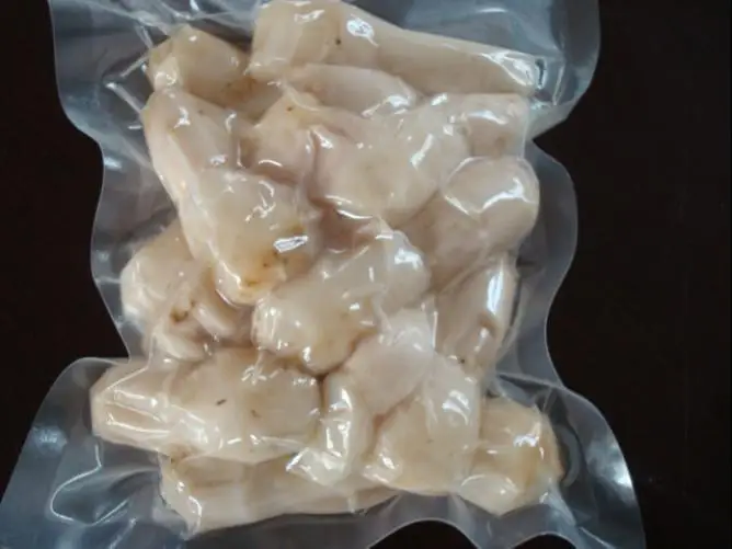 DZ-500/2H Electric Driven Automatic Vacuum Packing Sealing Machine