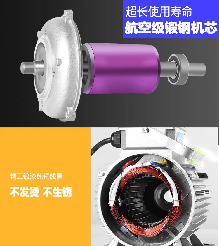 High Viscosity Self-Priming Electric  Oil Cooking Oil Stainless Steel Gear Pump 220v380v