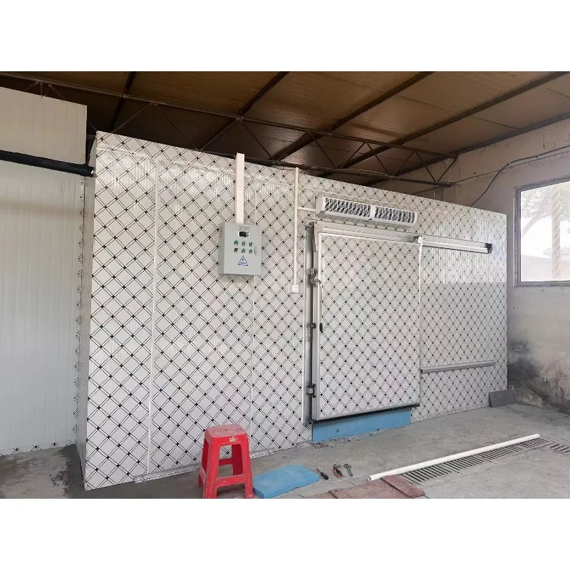 2026 New FL Meat Freezer Copeland Walk-in Cooler Storage Room for Fruit Vegetable Preservation Engine Component-High Customized