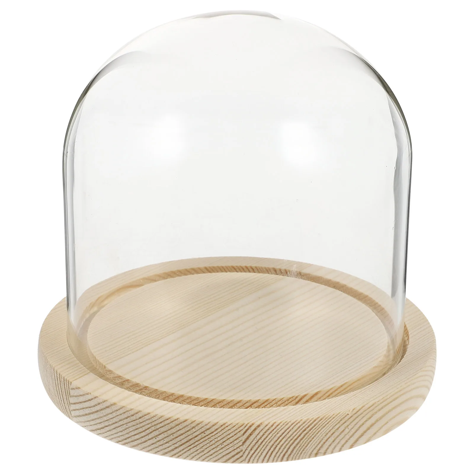 

Glass Dust Cover s Preserved Flower Display Case Cake Protective Showcase Figurine Home Adornment Artificial Flowers Dustproof