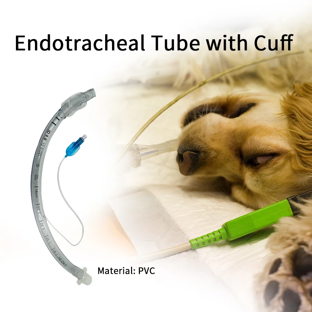 

17PCS Tracheal Endotracheal Tube Veterinary Endotracheal Tube with Cuff Disposable Sterile Veterinary Supplies 2-10mm