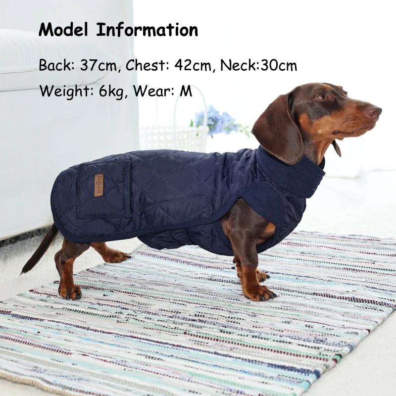 Thumbnail 4 - #17 Trending Dog Coats Right Now