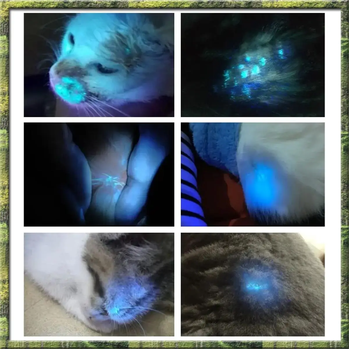 A63P トップポータブルフェイシャルサロン美容アナライザー肌分析テスト UV ウッズランプスキンケア用