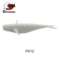PA12