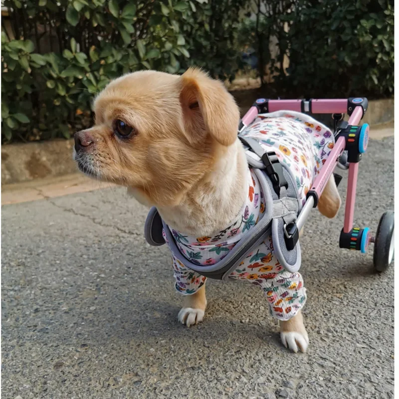 Small Dog Wheelchair for Hind Limb Paralysis Rehabilitation Cart Puppies Assisted Walking for Disabled Cat and Teddy Leg Bracket