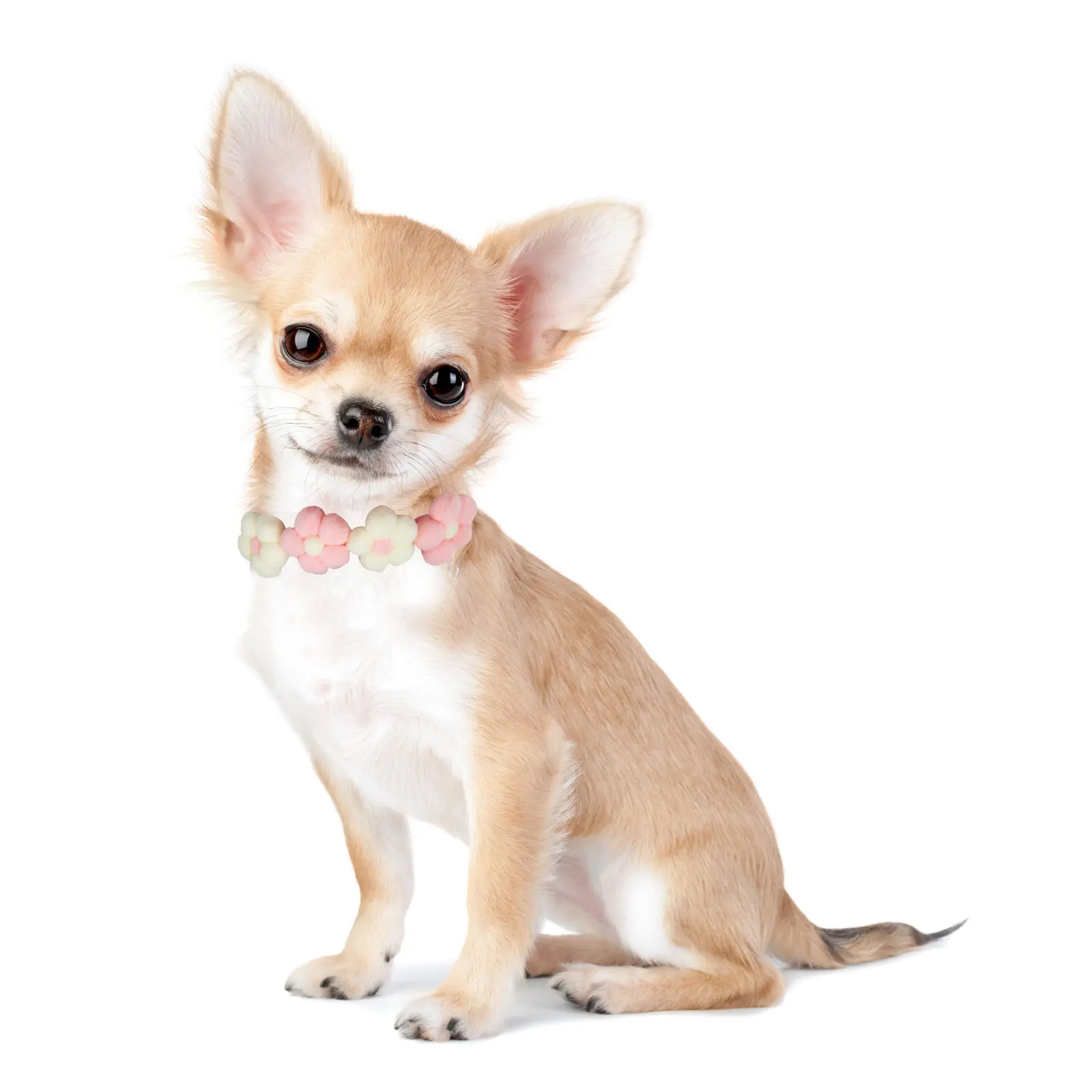 

Delicate Hand-Knitted Flower Designed Pet Collar for Dog Cat Adjustable Comfortable Daily Wear Party Festival Decorative