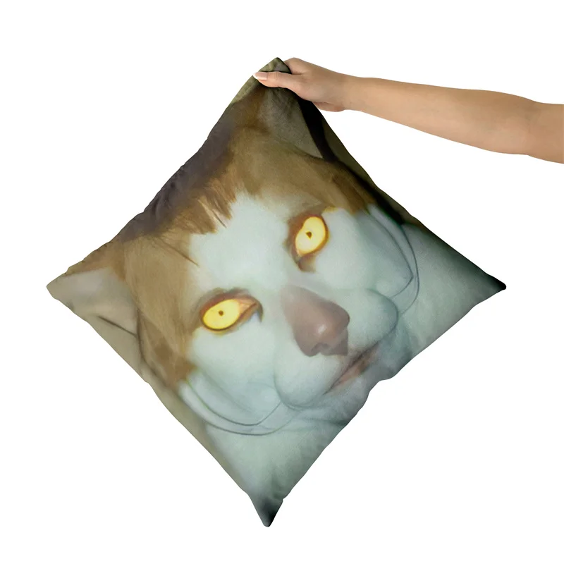 Aertemisi 18\'\' x 18\'\' Monday Left Me Broken Cat Mr. Peebles Square Throw Pillow Cushion Covers Cases Pillowcases 45cm x 45cm