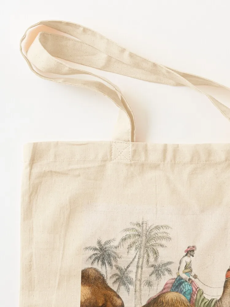Camels species vintage illustration Tote Bag tote bag screen hand bag eco folding shopper bags