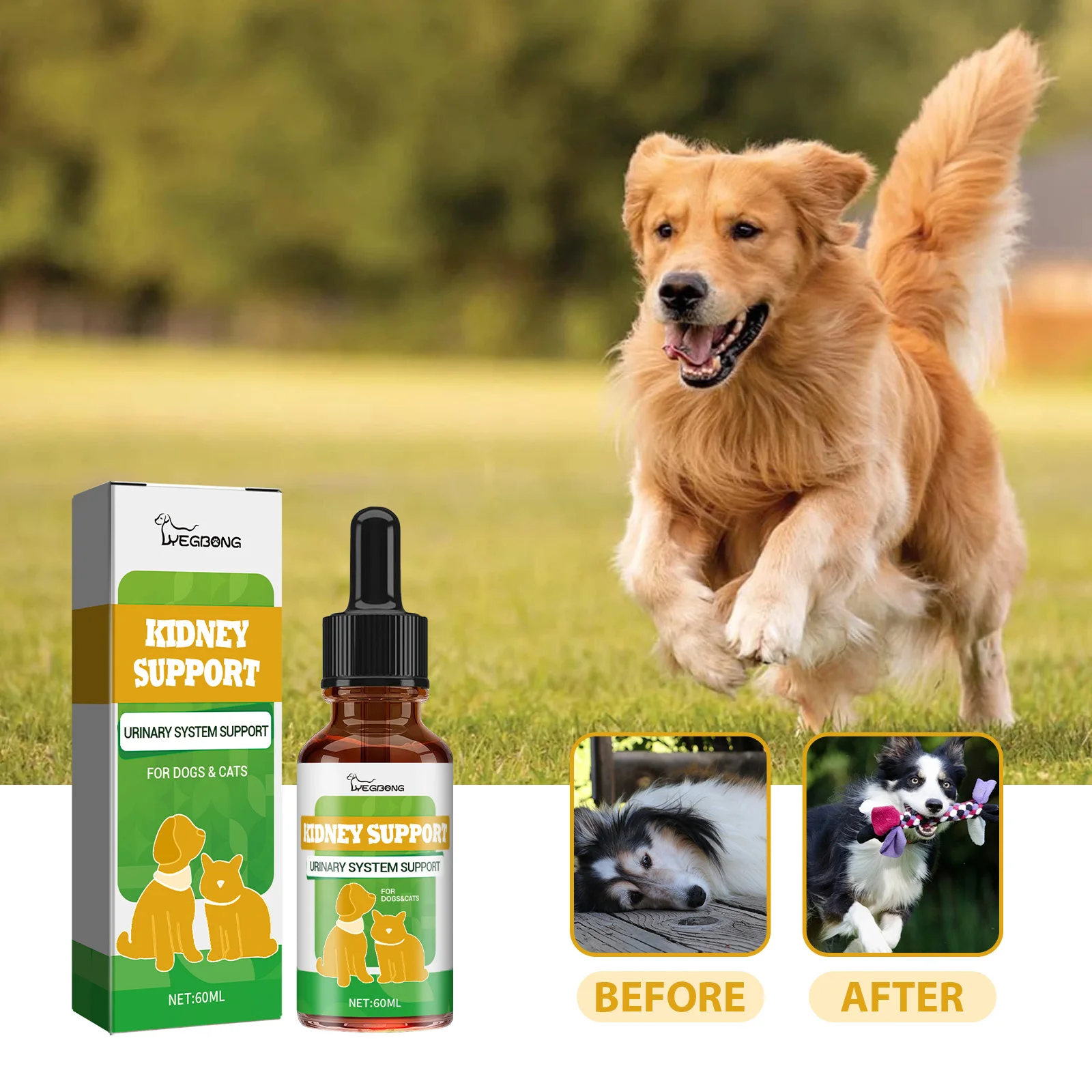 Suplemento Nutricional para Mejorar la Función del Sistema Renal de Mascotas - Mejora la Energía y Vitalidad, Cuidado Nutricional para Perros y Gatos