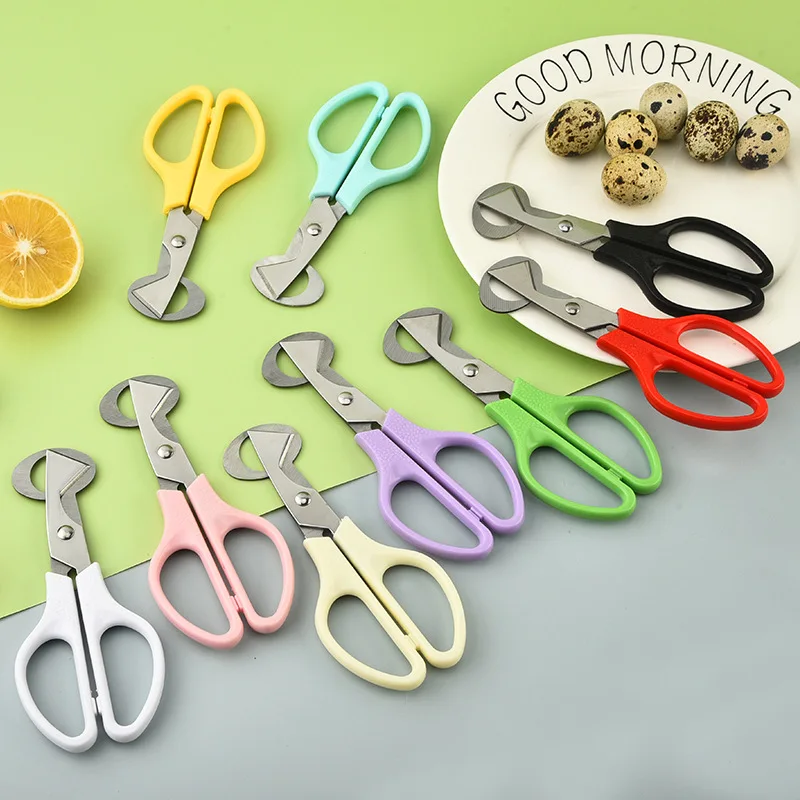 

Quail egg scissors, stainless steel egg cutter, bird egg opening and shell opening scissors, egg shell divider, kitchen scissors
