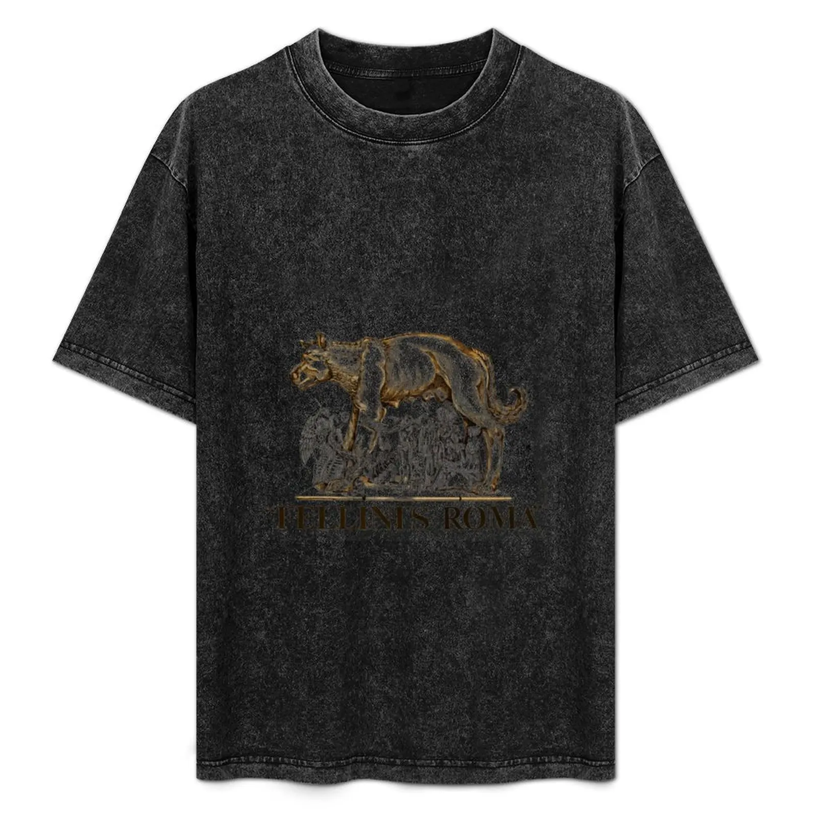 

Fellini's Rome T-Shirt Light Athletic Short Sleeve Tee Shirt