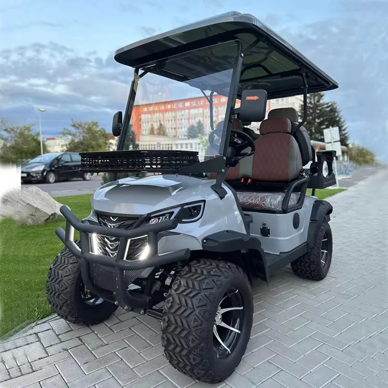 High Quality 2-4 Seater Mini Lifted Electric Golf Cart 48V 4-7.5KW Motor 25MPH Street Legal LXM