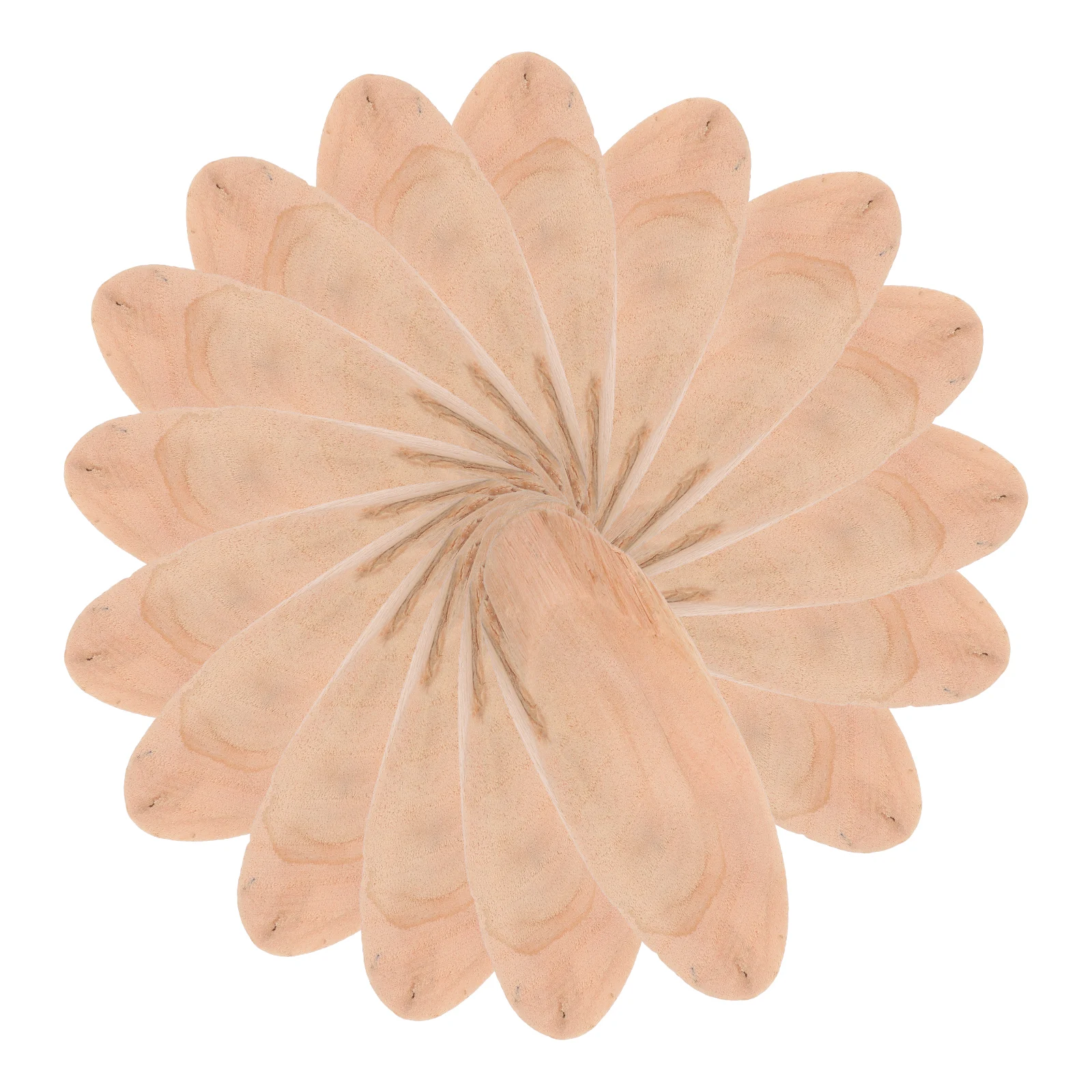 

20pcs Natural Driftwood Pieces 7-8Cm Wood Slices For Aquarium Decoration Diy Craft Unfinished Oval Wooden Shapes Beige