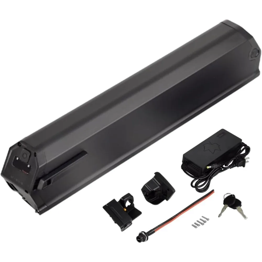 アメリカ倉庫 48V 電動自転車バッテリー 25Ah リチウムイオンバッテリーパック 交換用 Reention Dorado Plus 電動自転車 500W 750W 1000W モーター