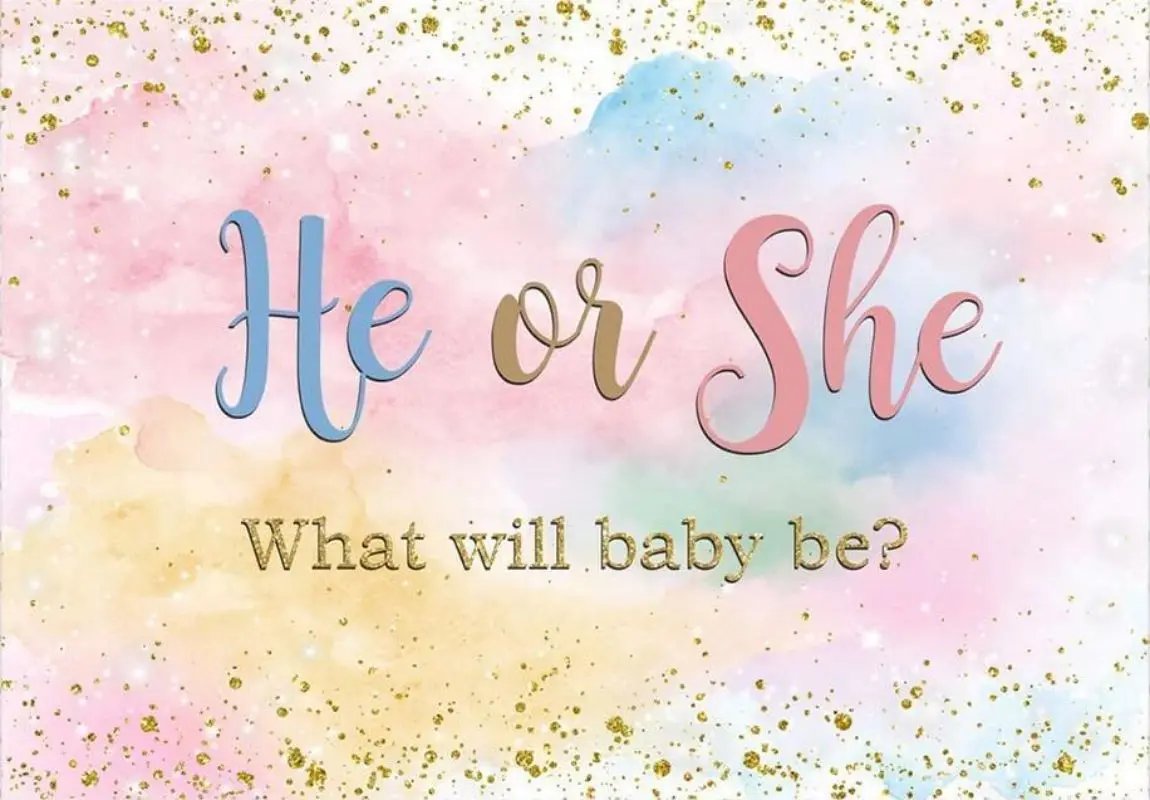 Watercolor He or She Gender Reveal Backdrop Boy or Girl Baby Shower Photography Background What Will Baby Be Decoration Banner