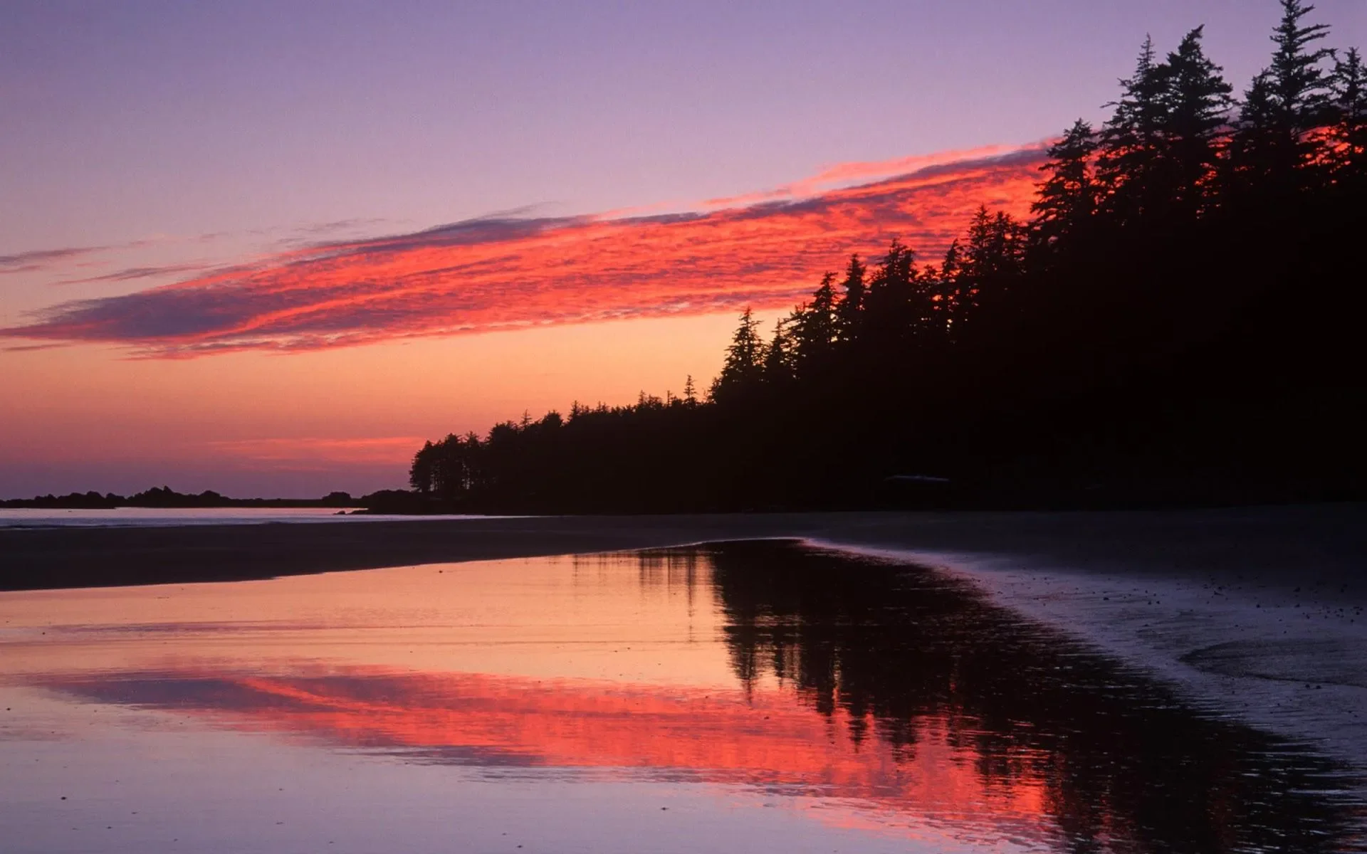 

For KIA SHUMA 2010 Black Under Engine Guard Plate Splash Shield Mud Fender Cover Mudguard Protector