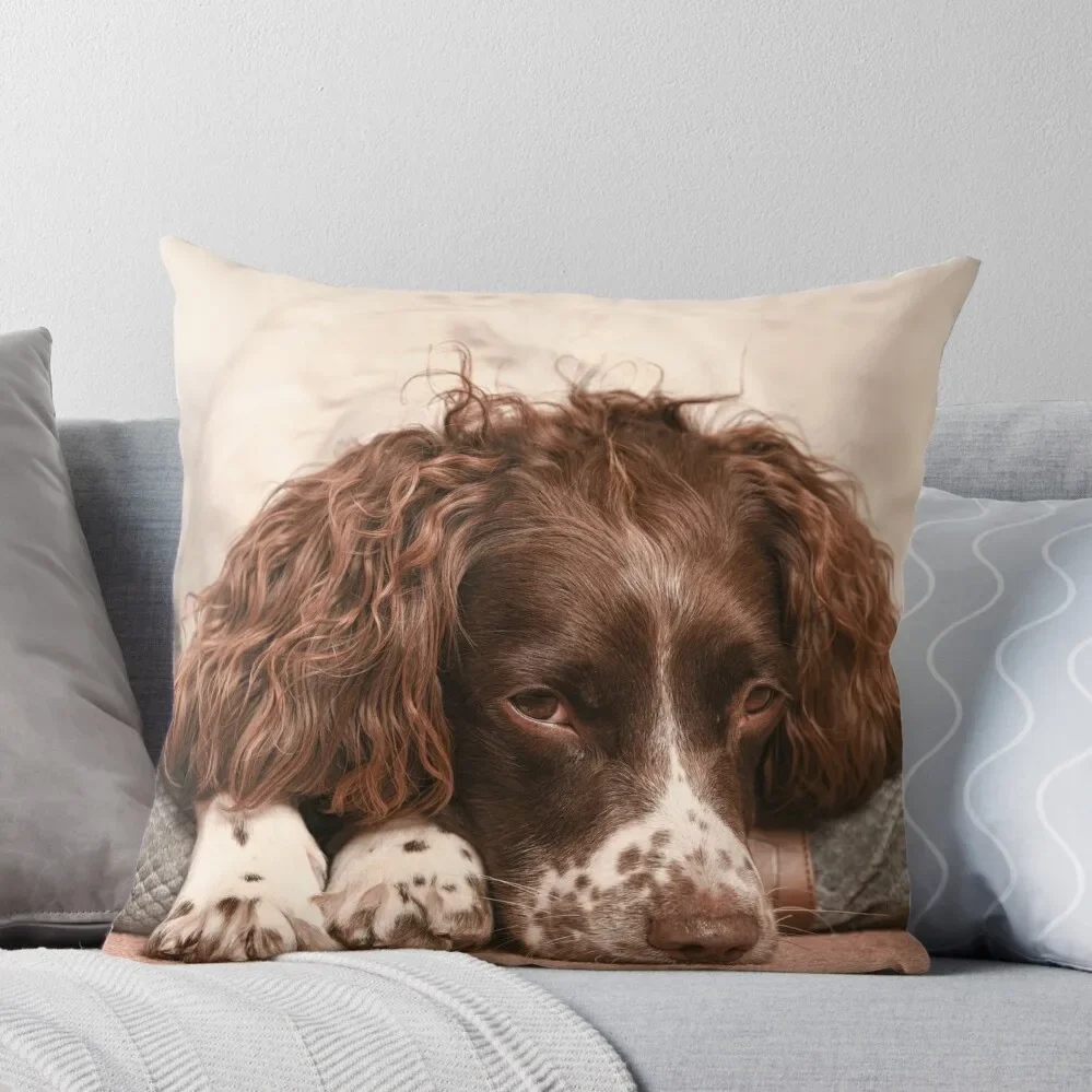 

English springer spaniel Throw Pillow Cushions Cover Anime Custom Cushion Photo