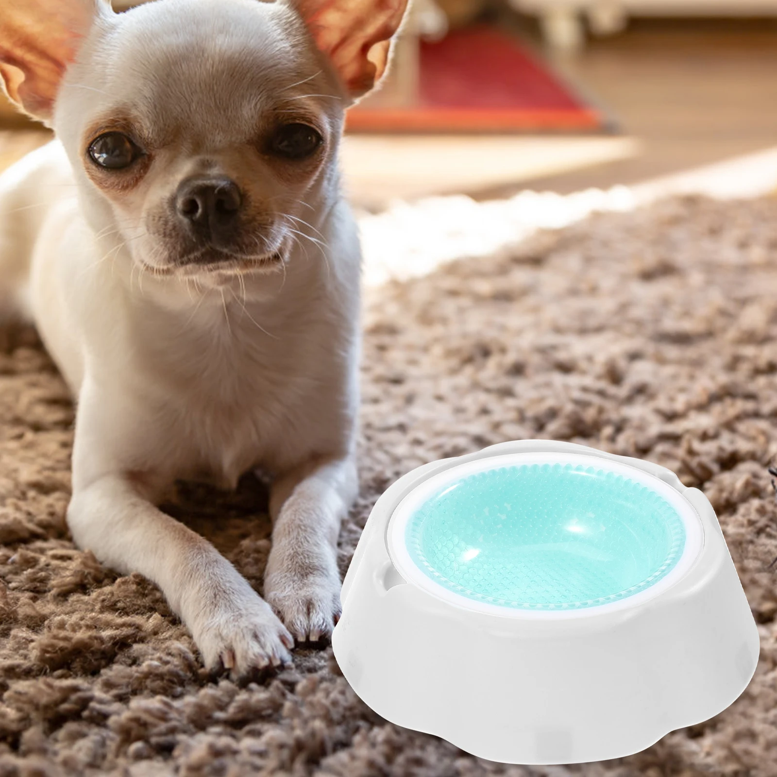 

Pet Water to Feed Feeding and Drinking Bowls Insulated Cat Green Small Cold