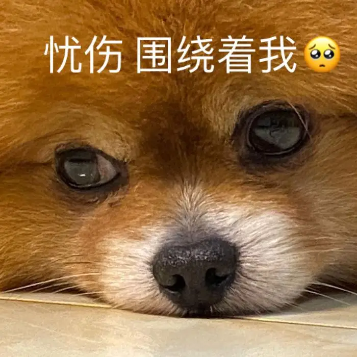 

Для GAC Trumpchi Gs4 Paint Pen Special Ivory White Gs3 Shadow Leopard Gs5 Автомобильная краска Gs8 Оригинальная автомобильная краска Ремонт царапин