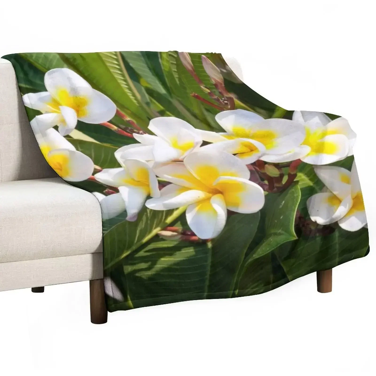 

Franjipani Throw Blanket Blankets For Sofas Hair Blankets