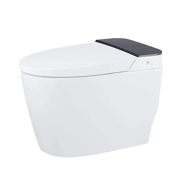 

Multifunction Heated Seat Japanese Automatic Smart Intelligent Toilet Smart Bidet Wc Toilet