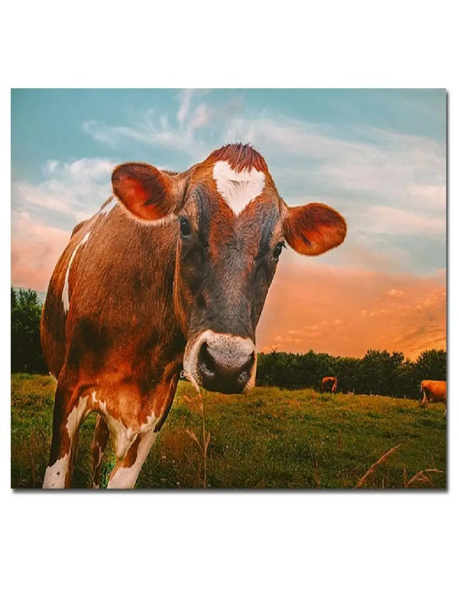 لوحات قماش غروب الشمس ، فن جداري للحيوانات ، ديكور غرفة المعيشة ، ديكور المنزل ، ملصقات ، مطبوعات ، حديثة ، لطيفة #2